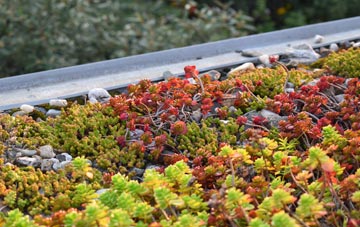 the cost of Roundshaw green roof installation