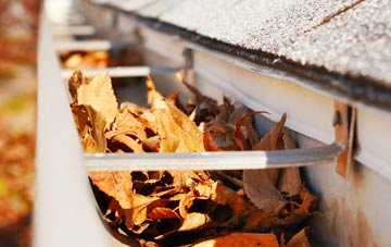 Roundshaw gutter cleaning companies