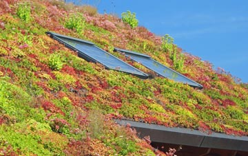 Roundshaw living roof systems