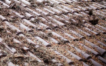 Roundshaw roof cleaning companies