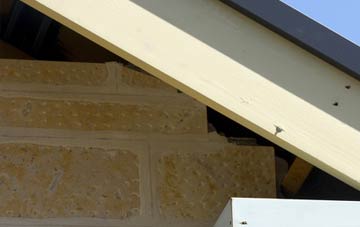 soffit repair Roundshaw