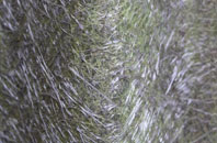 Roundshaw fibreglass roof work